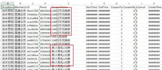 天空之城多奇妙项目置换流程（更新至20231123）.docx预览图